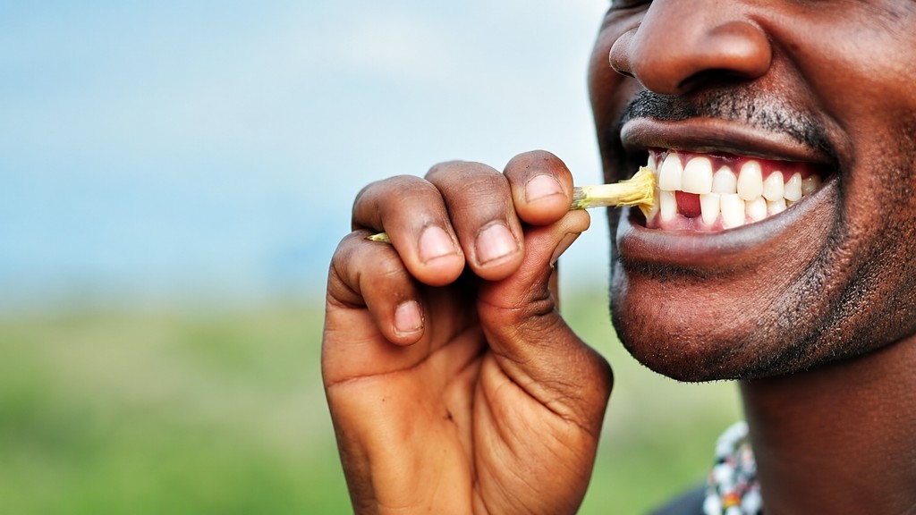 A person using Siwak to clean their teeth