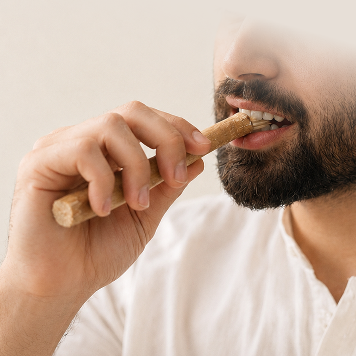 Chewing the end of a Siwak stick to loosen the fibres